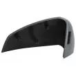 Revêtement, rétroviseur extérieur BLIC 6103-01-2583312P - Visuel 2