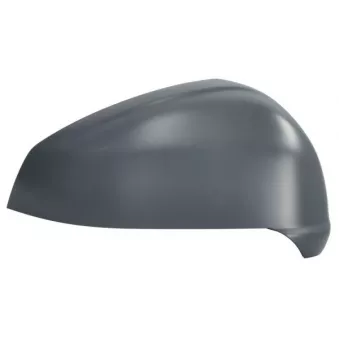 Revêtement, rétroviseur extérieur BLIC 6103-01-2583313P