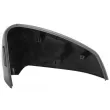 Revêtement, rétroviseur extérieur BLIC 6103-01-2583313P - Visuel 2