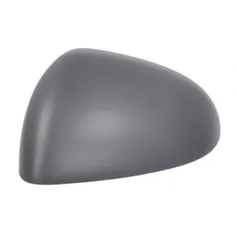 Revêtement, rétroviseur extérieur BLIC 6103-02-2475310P