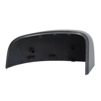 Revêtement, rétroviseur extérieur BLIC 6103-03-2402312P