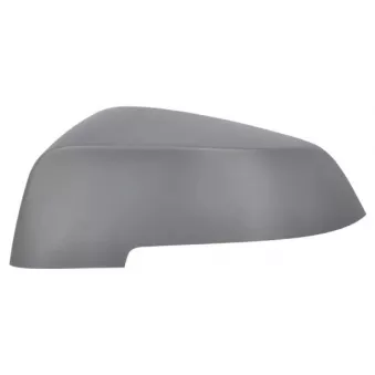 Revêtement, rétroviseur extérieur BLIC 6103-05-1637310P