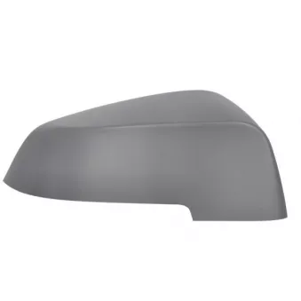 Revêtement, rétroviseur extérieur BLIC 6103-05-1637311P