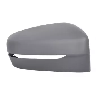 Revêtement, rétroviseur extérieur BLIC 6103-05-2609311P