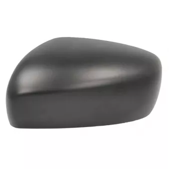 Revêtement, rétroviseur extérieur BLIC 6103-18-2119310P