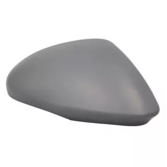 Revêtement, rétroviseur extérieur BLIC 6103-22-2075311P