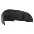 Revêtement, rétroviseur extérieur BLIC 6103-24-1523313P - Visuel 1