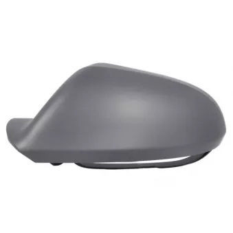 Revêtement, rétroviseur extérieur BLIC 6103-25-0062312P