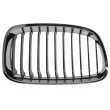 Grille de radiateur BLIC 6502-07-0086992P - Visuel 1