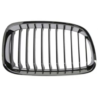 Grille de radiateur BLIC 6502-07-0086992P