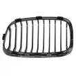 Grille de radiateur BLIC 6502-07-0086992P - Visuel 2