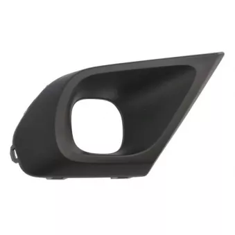 Cadre, projecteur antibrouillard avant BLIC 6502-07-1306912P