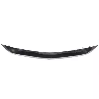 Baguette et bande protectrice, pare-chocs BLIC