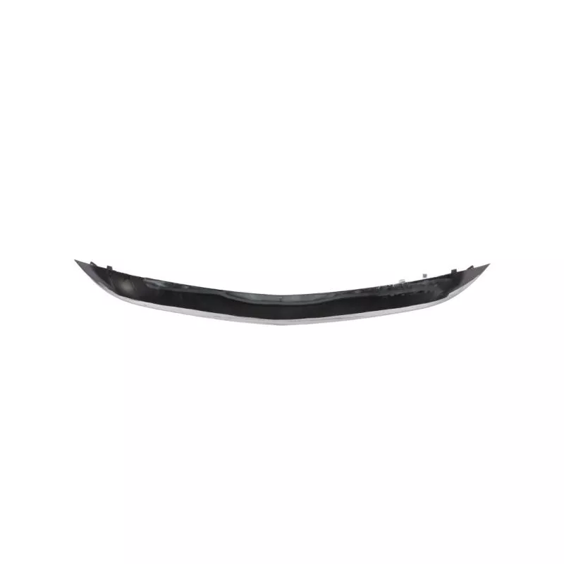 Baguette et bande protectrice, pare-chocs BLIC 6502-07-3510920P