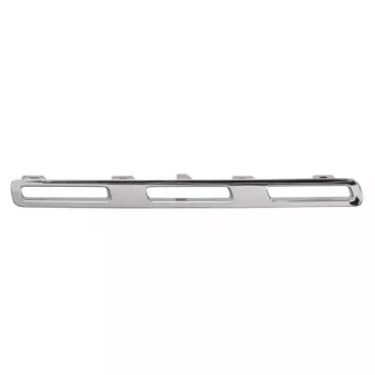 Baguette et bande protectrice, grille de radiateur BLIC 6502-07-3584994P