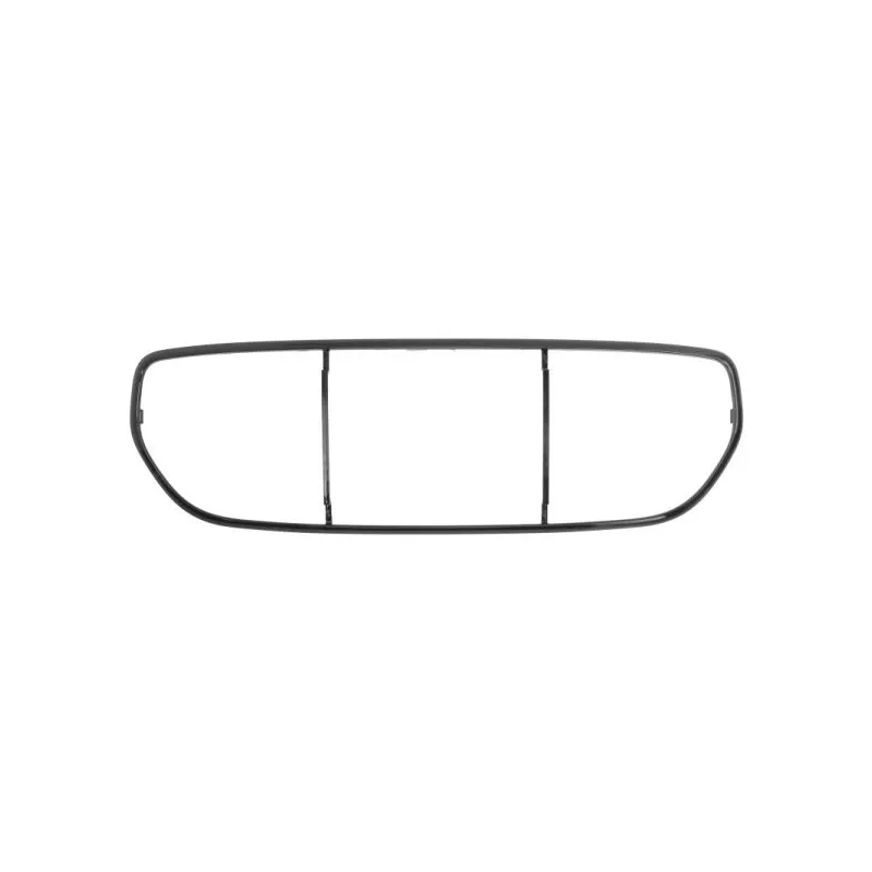 Baguette et bande protectrice, grille de radiateur BLIC 6502-07-4002915P