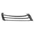 Suspension, grille de radiateur avant BLIC 6502-07-5725922P - Visuel 2