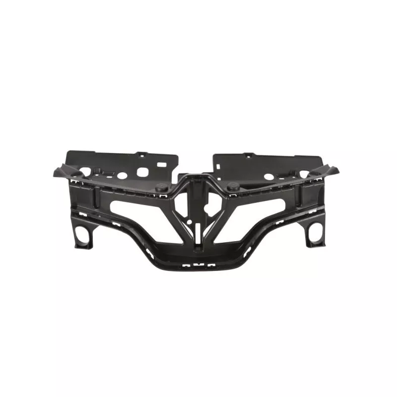 Grille de radiateur BLIC 6502-07-6009993P