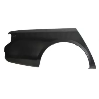 Aile arrière droit BLIC