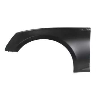 Aile avant gauche BLIC