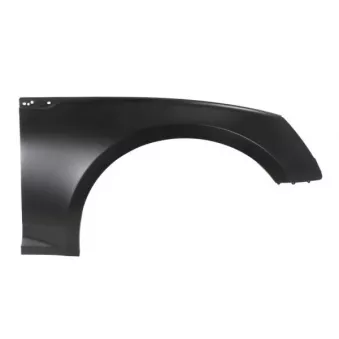 Aile avant droit BLIC