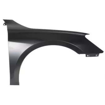 Aile avant droit BLIC