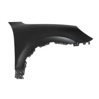 Aile avant droit BLIC