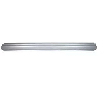 Plaque de seuil BLIC