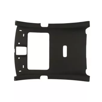 Rêvetement du ciel BLIC