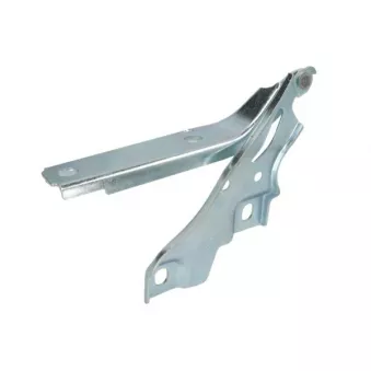 Charnière, capot-moteur BLIC 6802-00-9589454P