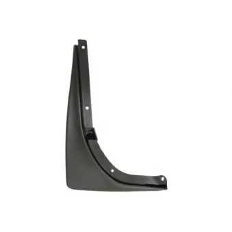 Tablier d'auvent avant gauche BLIC