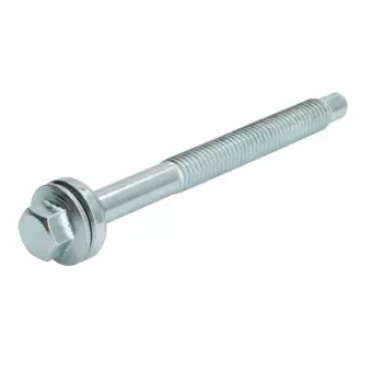Vis, porte-injecteur ENGITECH