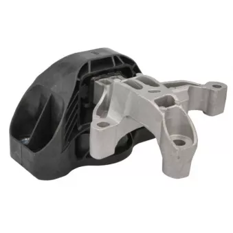 Support moteur REINHOCH RH11-2228