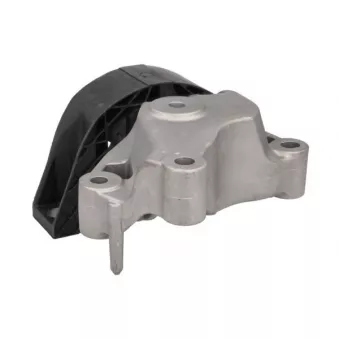 Support moteur REINHOCH RH11-2231