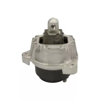 Support moteur REINHOCH RH11-3167