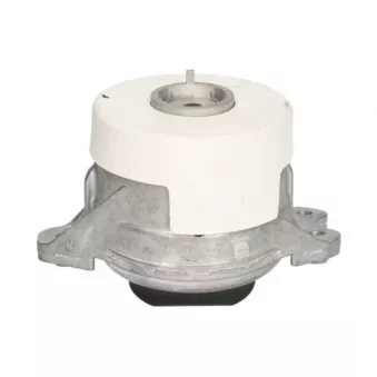 Support moteur REINHOCH RH11-3169