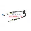 Jeu de câbles, boîte de vitesses manuelle FAST FT02911 - Visuel 3