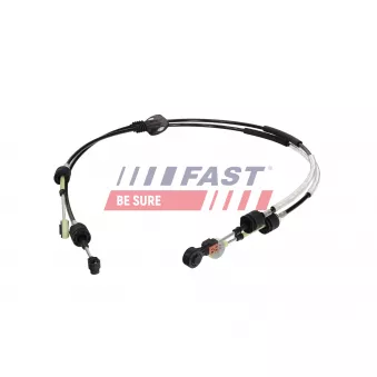 Jeu de câbles, boîte de vitesses manuelle FAST