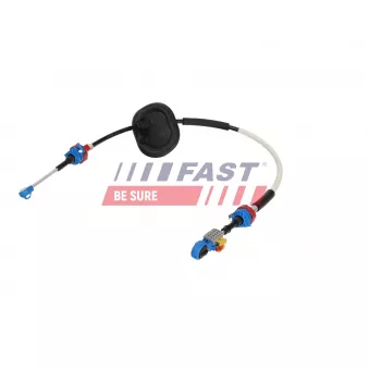 Jeu de câbles, boîte de vitesses manuelle FAST