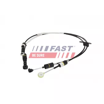 Jeu de câbles, boîte de vitesses manuelle FAST