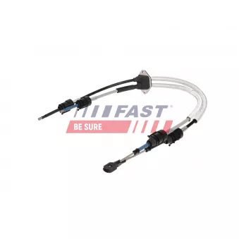 Jeu de câbles, boîte de vitesses manuelle FAST