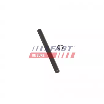 Pompe à huile FAST FT04168