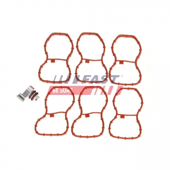 Joint d'étanchéité, collecteur d'admission FAST