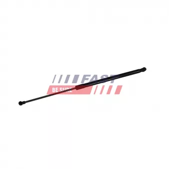 Vérin de hayon, de coffre FAST FT04424