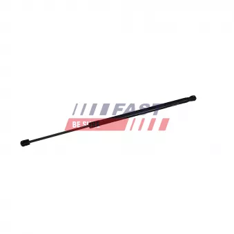 Vérin de hayon, de coffre FAST