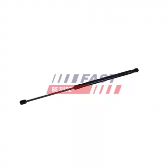 Vérin de hayon, de coffre FAST