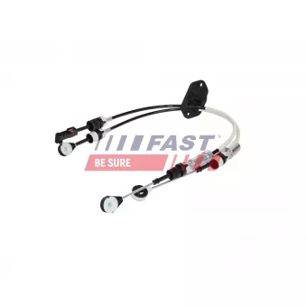 Jeu de câbles, boîte de vitesses manuelle FAST