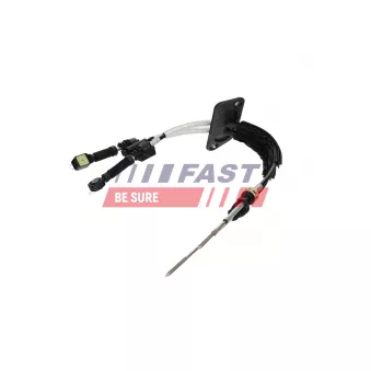 Jeu de câbles, boîte de vitesses manuelle FAST