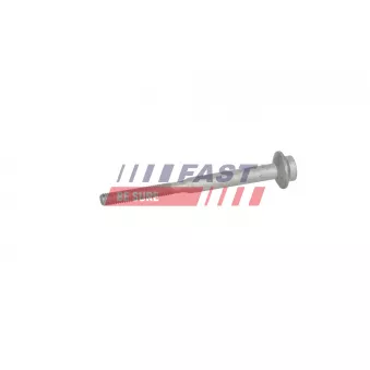 Vis, support pour controleur d'injecteurs FAST FT13099