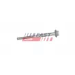 Vis, support pour controleur d'injecteurs FAST FT13100 - Visuel 1